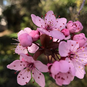 Meet your Posher, Ellie